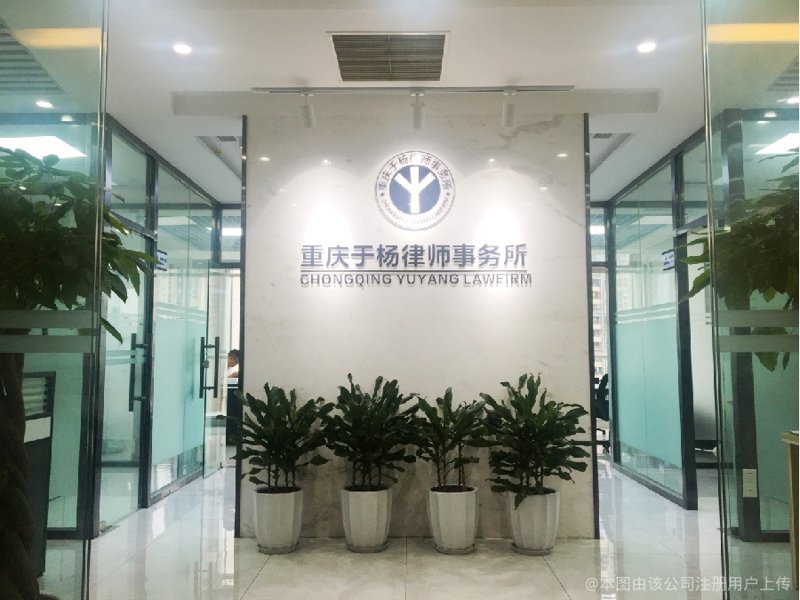 重庆律师事务所服务深度观察：从数据看企业法律风险防控与争议解决的专业价值